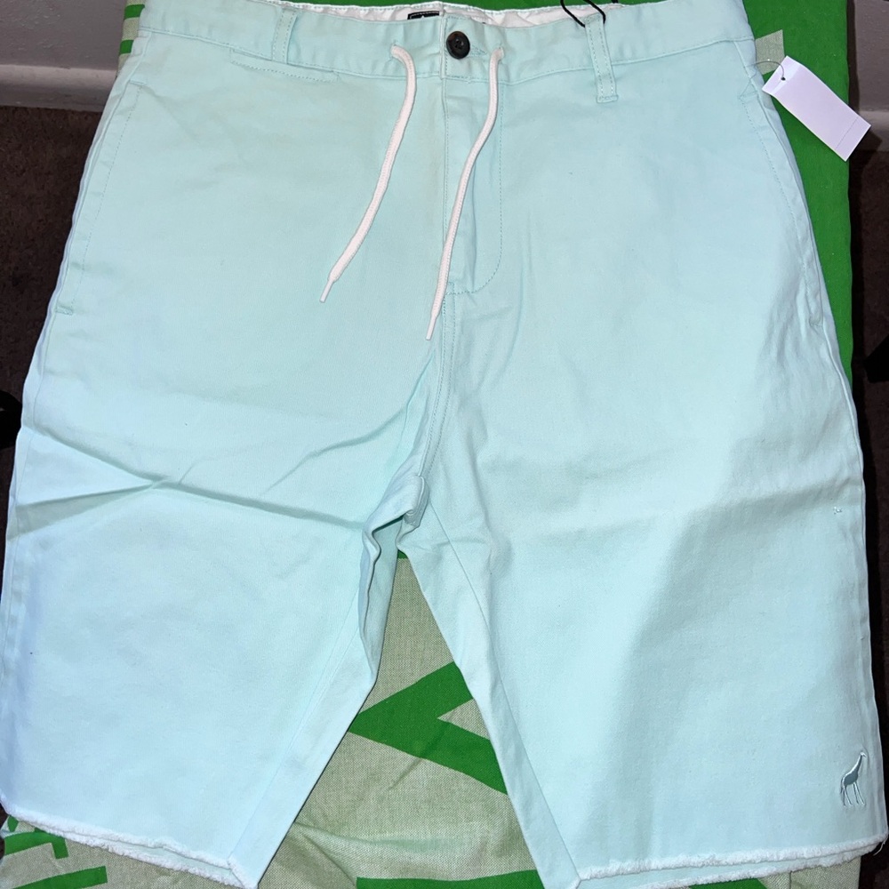 Mint Green Casual Shorts